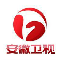 安徽卫视在线直播