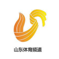 山东体育直播