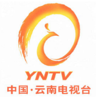 云南国际频道